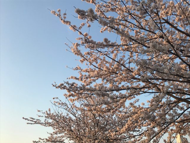 ファイル 2017-04-13 21 07 01