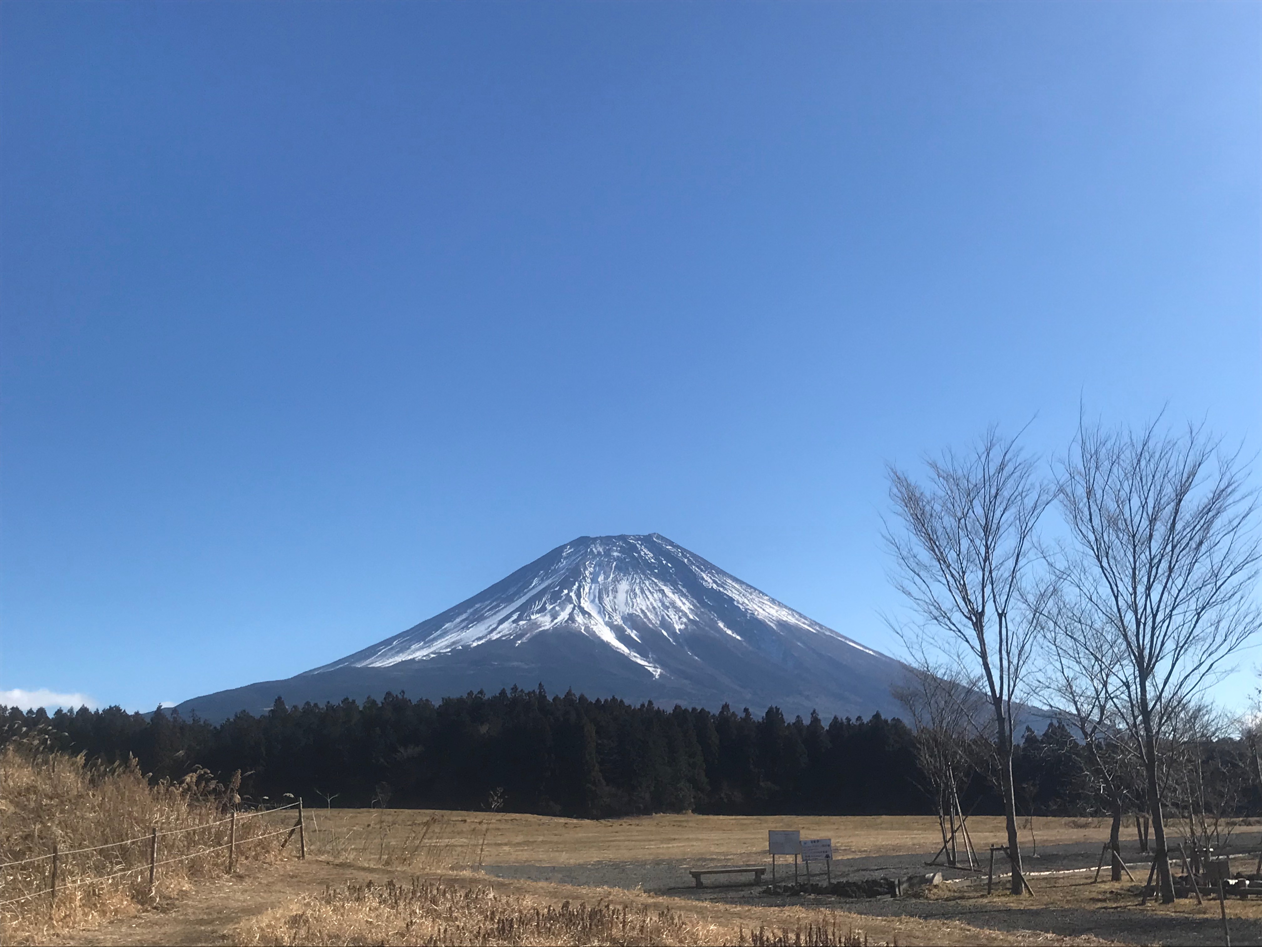 ファイル 2018-01-09 17 34 03